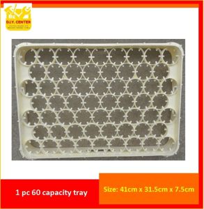 DIY Center 1pc 60 Capacity Tray for Egg Incubator or Transporting Eggs / Crate