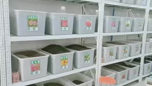 草莓种子四季结果好养易活室内外阳台蔬菜水果盆栽植物花种子籽子