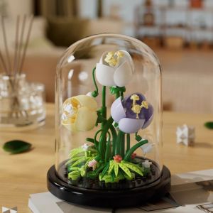 LELE Mainan DIY Plant Kotak Tampilan Untuk Bunga Kreatif Untuk Romantis Dekorasi Desktop
