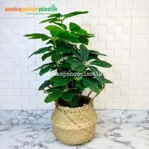 Pohon Hias Tanaman Daun Anubias X18 Semilatex Artificial Cover Purun Belly Pajangan Hiasan Dekorasi Ruang Kantor Aesthetic