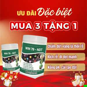 WIN79 - MUA 3 TẶNG 1 MUA 5 TẶNG 2. KÍCH RA RỄ MẠNH CHẤM DỨT VÀNG LÁ THỐI RỄ CÂY BUNG CHỒI VỌT ĐỌT.