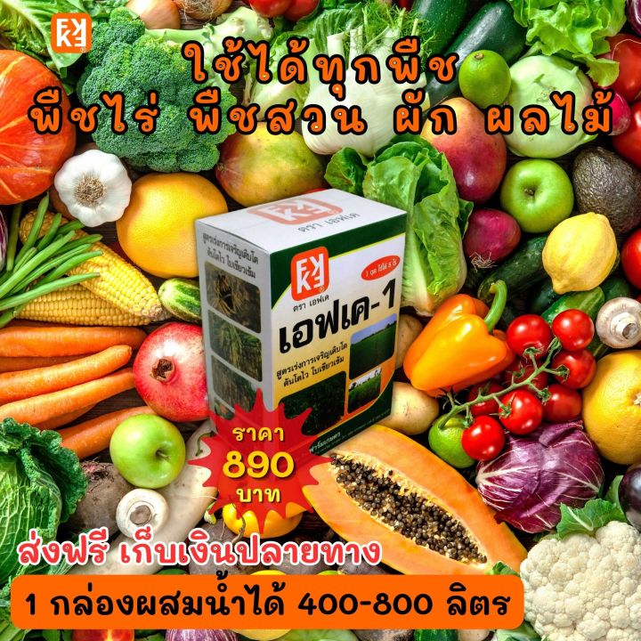 %E0%B8%AA%E0%B9%89%E0%B8%A1%20%E0%B9%82%E0%B8%95%E0%B9%84%E0%B8%A7%20%E0%B9%83%E0%B8%9A%E0%B9%80%E0%B8%82%E0%B8%B5%E0%B8%A2%E0%B8%A7%20%E0%B8%9C%E0%B8%A5%E0%B9%83%E0%B8%AB%E0%B8%8D%E0%B9%88%20%E0%B8%9C%E0%B8%A5%E0%B8%9C%E0%B8%A5%E0%B8%B4%E0%B8%95%E0%B8%94%E0%B8%B5%20%E0%B8%89%E0%B8%B5%E0%B8%94%E0%B8%9E%E0%B9%88%E0%B8%99%E0%B8%9B%E0%B8%B8%E0%B9%8B%E0%B8%A2%20FK-1%20%E0%B8%95%E0%B9%89%E0%B8%99%E0%B8%97%E0%B8%B8%E0%B8%99%E0%B8%95%E0%B9%88%E0%B8%AD%E0%B9%84%E0%B8%A3%E0%B9%88%E0%B8%96%E0%B8%B9%E0%B8%81%E0%B8%81%E0%B8%A7%E0%B9%88%E0%B8%B2%E0%B8%9B%E0%B8%B8%E0%B9%8B%E0%B8%A2%E0%B9%80%E0%B8%A1%E0%B9%87%E0%B8%94%204%E0%B9%80%E0%B8%97%E0%B9%88%E0%B8%B2%20%E0%B9%80%E0%B8%9E%E0%B8%B4%E0%B9%88%E0%B8%A1%E0%B8%9C%E0%B8%A5%E0%B8%9C%E0%B8%A5%E0%B8%B4%E0%B8%95%E0%B8%AA%E0%B8%B9%E0%B8%87%E0%B8%AA%E0%B8%B8%E0%B8%94%2020%E0%B9%80%E0%B8%9B%E0%B8%AD%E0%B8%A3%E0%B9%8C%E0%B9%80%E0%B8%8B%E0%B9%87%E0%B8%99%E0%B8%95%E0%B9%8C%20-%20Image%204