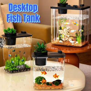 Transparent Desktop Fish Tank Miniature Ecological Landscape Small Living Room Landscaping Fish Tank