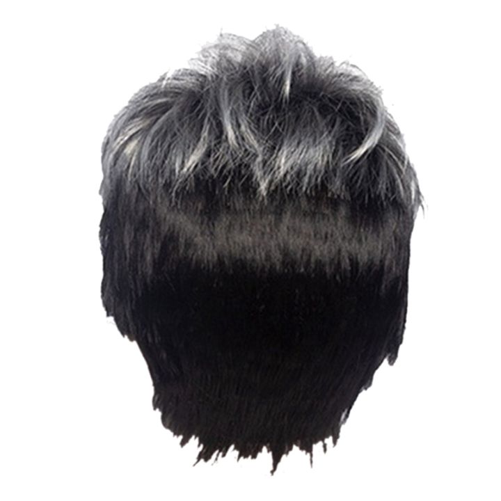 Men Short Straight Wig Ombre Grey Black Synthetic Wig for Male