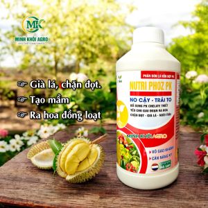 Phân bón hỗn hợp PK Nutri Phoz PK 0-40-48 - Chai 500ml | Chuyên gia tạo mầm