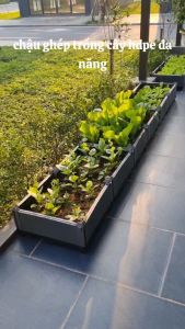Chậu ghép thông minh HDPE/PP 100x50x23cm: Thẩm mỹ kết cấu chắc dễ lắp đặt phù hợp mọi cây trồng.