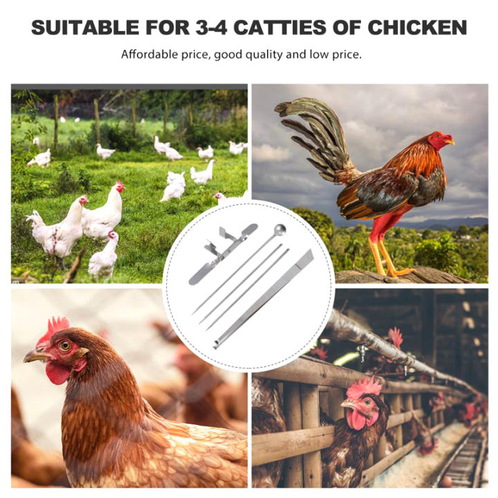 Chicken caponizing set Stainless steel Caponizing tools for chicken ...