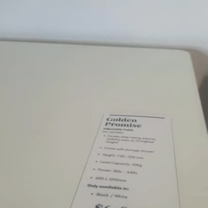 (Free Installation and 10 Years Warranty) Electric Height Adjustable Table with Child-Lock Safety Feature Storage Drawer & USB Charging Ports [Ready Stock]