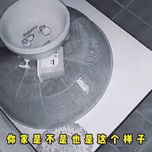 Super Strong Mouse Sticker Catch Sticky Large Mouse Trap Sticker Glue Catch Deratization Fantastic Rattrap Super Strong Household Killing Whole Nest