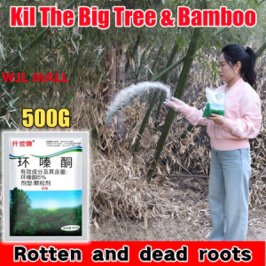 Effects Fast 500G Herbicide to kill tree Hexazinone root removal kill tree weed bamboo open up land