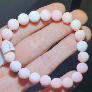 bracelet Queen conch shell