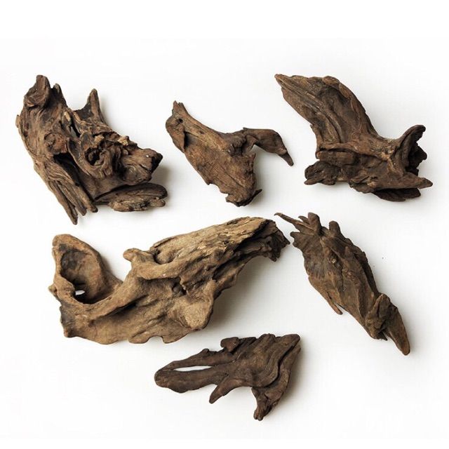 C%C3%A0nh%20g%E1%BB%97%20l%C5%A9a%20kh%C3%B4%20trang%20tr%C3%AD%20b%E1%BB%83%20c%C3%A1%20th%E1%BB%A7y%20sinh,%20bonsai,%20ti%E1%BB%83u%20c%E1%BA%A3nh,%20gh%C3%A9p%20lan%20-%20Image%208