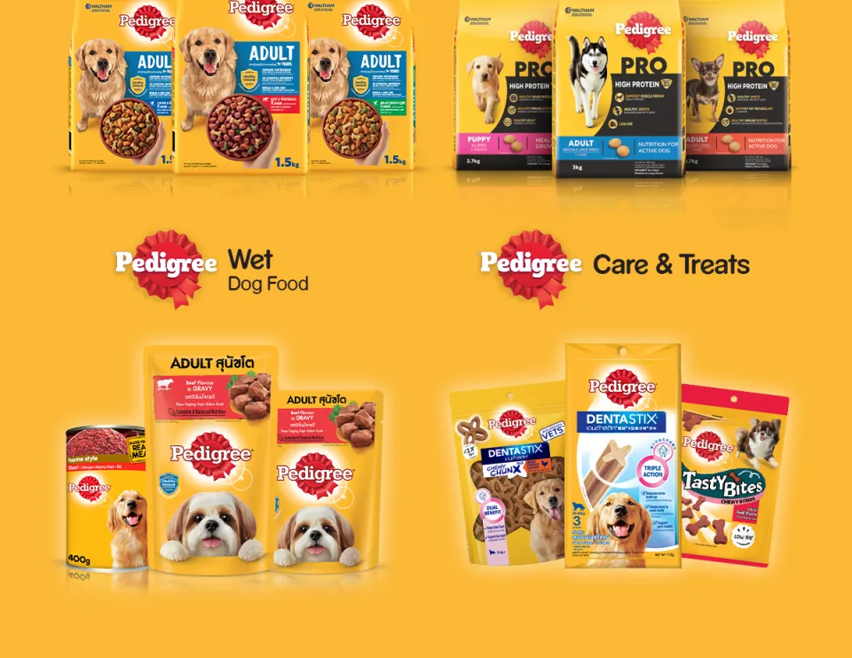 Pedigree 24 cheap pack