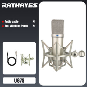 RAYHAYES All-Metal Condenser Microphone for Professional Recording Live Streaming