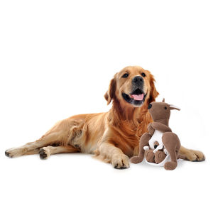 DY Loving Funny Dog Sniffing Toy Creative Kangaroo Hidden Food Big Dog Energy Consuming Toys Set 3 Kangaroo Babies Included