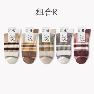 DSF Studio 新疆棉袜子女款春秋季中筒纯棉抗菌防臭秋冬长筒搭配配鲨鱼裤袜子