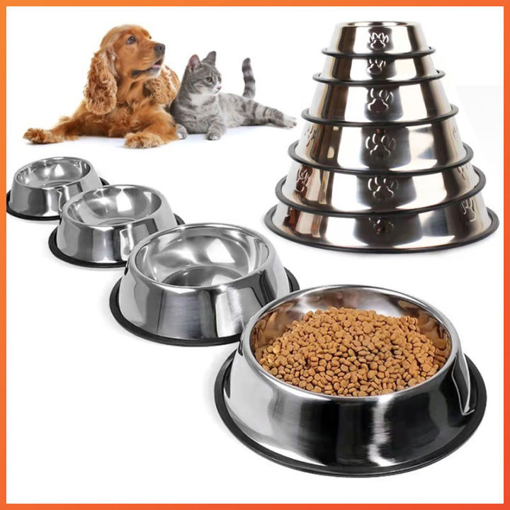 Dog store feeding plate