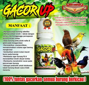 Gacor Up 10ml: Penggacor Vitamin Suplemen Burung Kicau