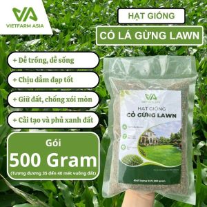 Combo 500 Gram Hạt Giống Cỏ Lá Gừng Lawn - Cỏ Lá Tre Dễ Trồng Chống Xói Mòn Giá Thành Tốt