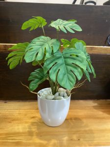 ต้นไม้ตั้งโต๊ะ รุ่น Mini Loft สูง 28 ซม. พร้อมกระถาง+ แถมหินฟรี ต้ต้นไม้ปลอม ต้นไม้ประดิษฐ์ Leeartplants