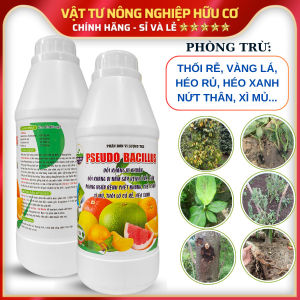 Chế Phẩm Trừ Bệnh Héo Xanh Vàng Lá Thối Cổ Rễ - PSEUDO BACILLUS - Chai 1 Lít