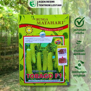 Benih Pare Paria Hibrida TOBAGO F1 50 biji Asli Cap Bunga Matahari Besar & Panjang