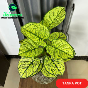DAUN KELADI AGLONEMA PLASTIK DAUN ARTIFICIAL DEKORASI BUNGA HIAS MURAH BUNGA PLASTIK JUMBO DEKORAS BUNGA HIAS ARTIFISIAL MURAH