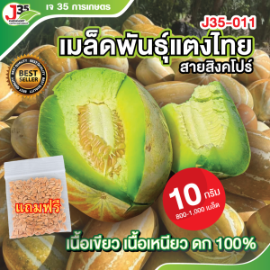 (10กรัม) เมล็ดพันธุ์แตงไทยสิงคโปร 011 แท้ 100 % เนื้อเขียว เหนียว นุ่ม หอม หวาน อร่อย ลูกใหญ่ ดก คัดเมล็ดพันธุ์จากแปลงคุณภาพ J35-011