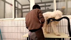 เครื่องเป่าหุ่นลองตั้งโต๊ะแบบโค้งขาตั้งเครื่องเป่าผมโต๊ะเสริมความงามสัตว์เลี้ยงที่วางเครื่องเป่าผมไดร์เป่าผมสุนัขที่วางไดร์เป่าผม