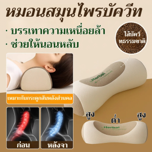 หมอนสมุนไพรบัควีท หมอนรองคอ หมอนสมุนไพรช่วยการนอนหลับ บรรเทาอาการปวดคอ รองรับส่วนคอ หมอนที่ออกแบบตามหลักสรีรศาสตร์