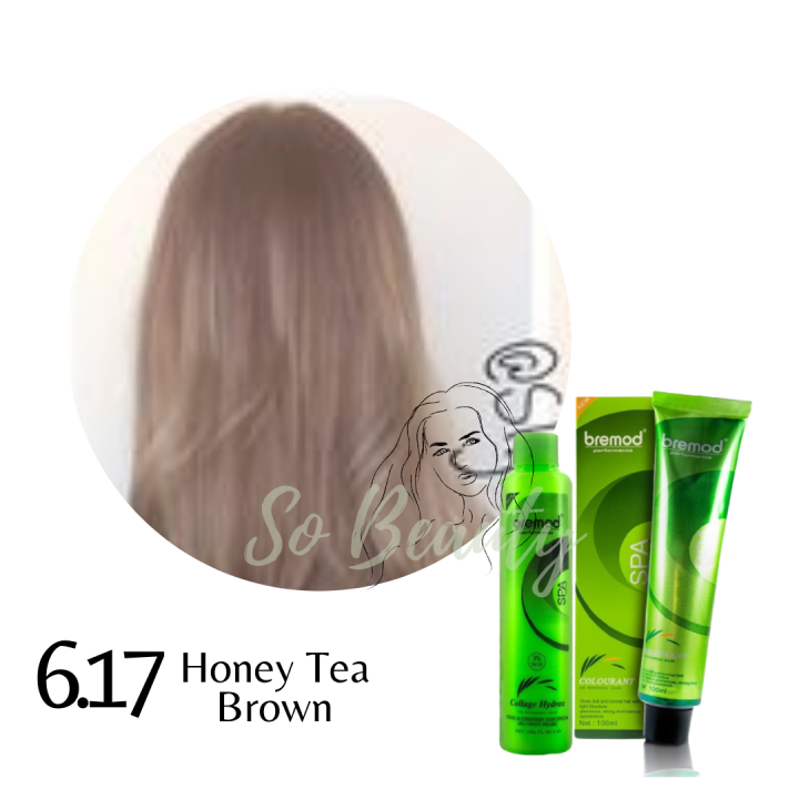 Honey Tea Brown Bremod Hair Color And Oxidizing Set 100ml With Freebie 617 Lazada Ph 