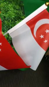 【SG wholesale】61st Anniversary Flag 30pcs 14*21/20*28cm Singapore National Day Flag For Party Supplies Handheld Flag
