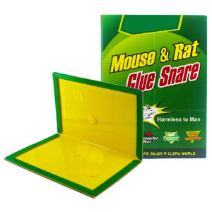 SUPER STRONG BOND TRAP Mouse Trap Glue Board Cockroach Lizard Mouse Trap / Papan Gam Perangkap Tikus