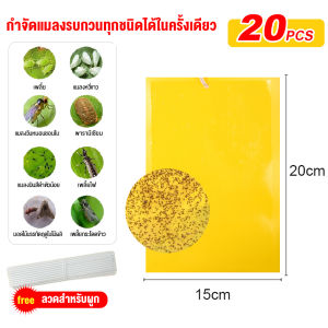แผ่นกาวดักแมลง (สีเหลือง) กาวดักแมลงวัน มีกาวในตัว มีให้เลือกหลายขนาด แพ็คละ 20/40/60แผ่น กับดักแมลงกินผัก แมลงทำลายผลผลิต ดักแมลงศัตรูพืช กาวดัก