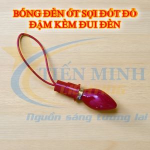 Combo 2 bóng đèn ớt sợi đốt nhiều màu kèm 2 đui đèn trái ớt đui E12 thông dụng dùng trang trí