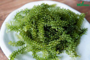 Rong Nho Tách Nước 100g ( Rong Nho Khô) 1 Nở 3