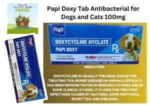 Papi Doxy 100mg Tablet for Dogs and Cats  Antibacterial 1box/10pcs