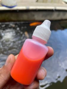 PREMIUM ESSENCE ESSEN AROMA BLEWAH SUSU APEL SPESIALIS IKAN MAS PALING AMPUH & GACORESSEN IKAN MAS PELET JITUESSEN IKAN MAS HARIANESSEN IKAN MAS GALATAMAESSEN IKAN MAS GALAPUNG ESSEN IKAN MAS KILOGEBRUSESSEN PALING AMPUH & JITU