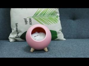 Dream Cat Night Lamp Desk Light USB Rechargable Girl Kids Gift Bedroom Luminar Room Decorate Dropshipping