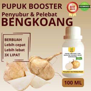 Pupuk Bengkoang Cepat Berbuah / Pupuk Pelebat Buah Bengkoang / Pupuk Booster Bengkoang Cair