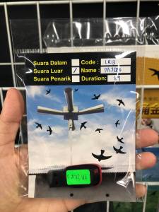 PAJERO 燕屋外声 /Swiftlet External Sound/ Suara Luar Rumah Burung Walet (boleh copy)