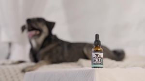 Charlie & Buddy Oil for Dogs Cats - Helps Pets with Anxiety Pain Stress Sleep Arthritis Seizures Relief - Joint Health - Calming Treats