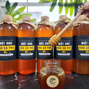 MẬT ONG HOA CÀ PHÊ NGUYÊN CHẤT GIA LAI - 100% Từ Tổ Ong Thô Tổ Ong Chín Trưởng Thành
