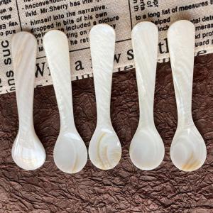LINSBAYWU Seashells Natural Conch Teaspoon Coffee Scoop Stirring Tool Caviar Spoons