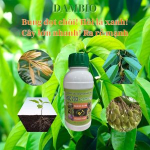 Phân bón lá sinh học DAMBIO  – Cung cấp vi sinh thế hệ mới giúp đất tơi xốp cây xanh tốt tự nhiên