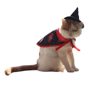 Halloweencostume magic cape for cats and dogs Christmastransformation outfit