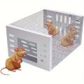 Ultra-Durable Iron Mouse Cage - Cage for Attracting Rats, One-Way Door Design, In-Out Only, Silvery. 