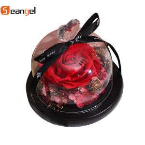 Seangel Valentines Day gift Preserved Fresh Flower Last 3-5 Years Dried flower Beauty and The Beast Fresh Red Eternal Roses In A Glass Dome For Womens Day girlfriend Gifts