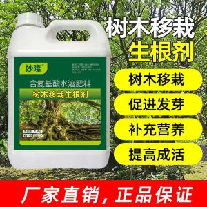 💗🙋‍♀️💗树木营养液吊针液促生新根发芽激活弱树大树通用型吊针液