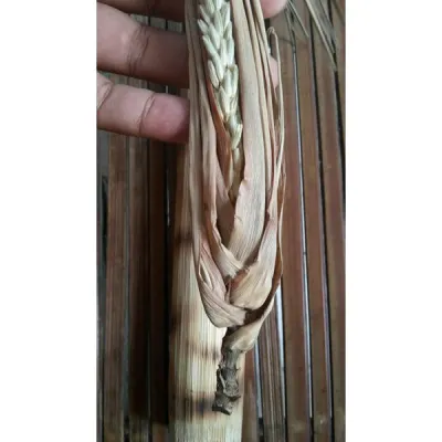 SALE Barang Antik Mus tika Kembang Sereh Bunga Serai Tunggal Inti Asli Alami